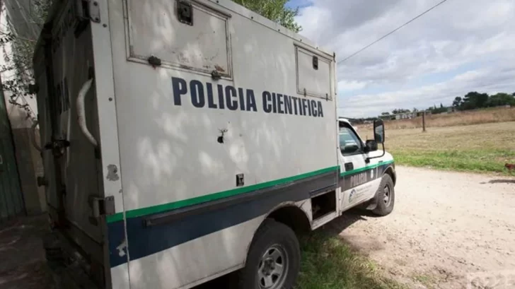 Asesinaron a un hombre y su cadáver fue devorado por perros Asesinaron a un hombre y su cadáver fue devorado por perros