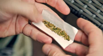 La Corte Suprema de México despenaliza el uso recreativo de la marihuana La Corte Suprema de México despenaliza el uso recreativo de la marihuana