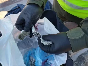 Llevaba en el colectivo a Jáchal 121 armados de marihuana y una bolsa con más hierba