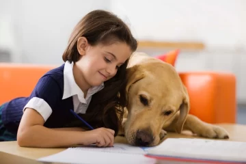 El ranking de las 5 mejores mascotas para los niños y cómo lograr que ellos las cuiden El ranking de las 5 mejores mascotas para los niños y cómo lograr que ellos las cuiden