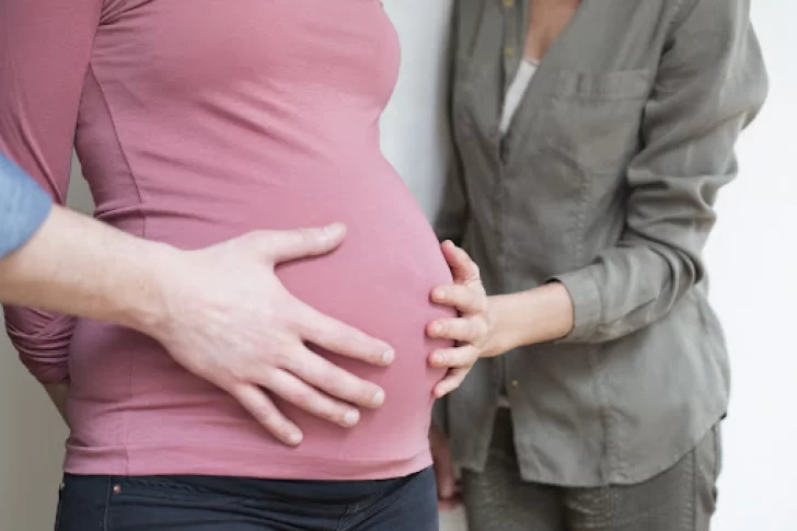 El OK a la maternidad subrogada abrió diferencias sobre el “alquiler de vientres”