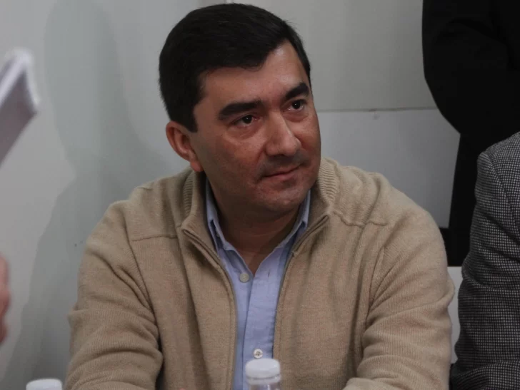 Ibarra, sobre las pintadas: “El puño del que pinta es viejo, una mano rugosa” Ibarra, sobre las pintadas: “El puño del que pinta es viejo, una mano rugosa”