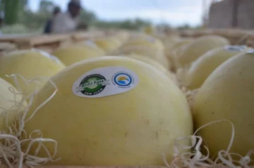 La más importante muestra a campo del año será en Sarmiento La más importante muestra a campo del año será en Sarmiento