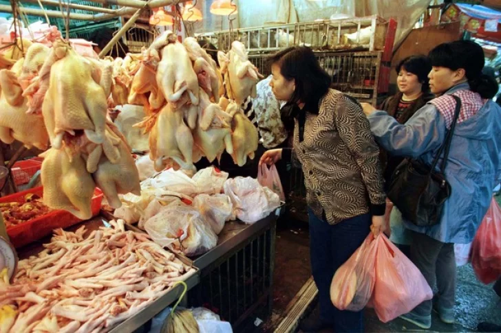 China detectó el primer caso de gripe aviar H10N3 en humanos