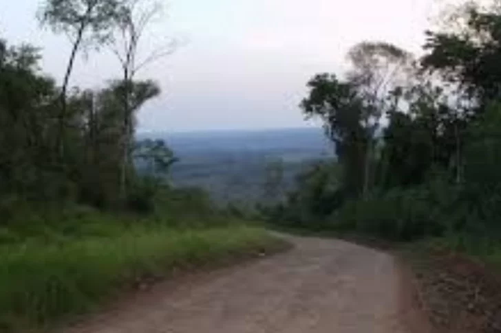 Usurparon la casa a una anciana mientras estaba hospitalizada
