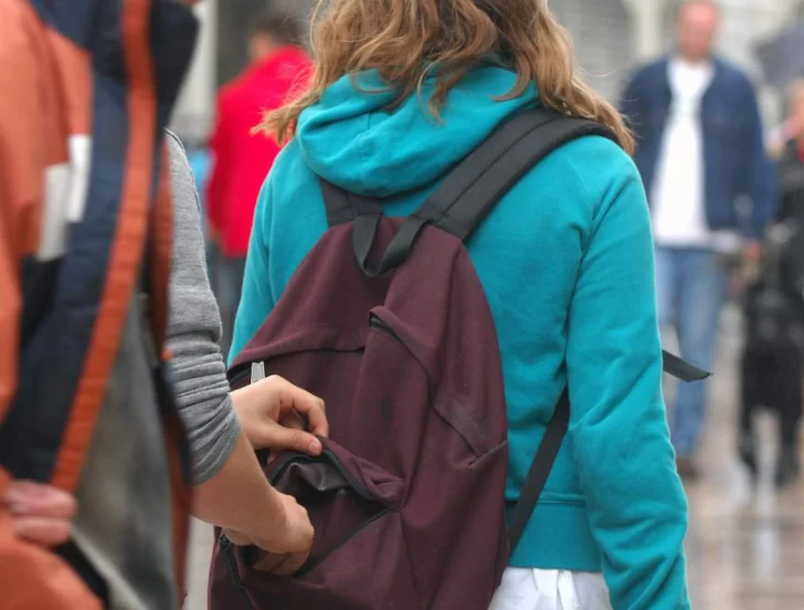 Le robó la mochila a una menor y se escondió adentro de una planta Le robó la mochila a una menor y se escondió adentro de una planta