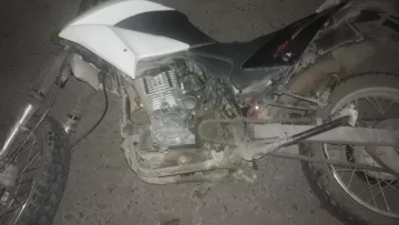 Impactó contra un árbol y no pudo sobrevivir Impactó contra un árbol y no pudo sobrevivir