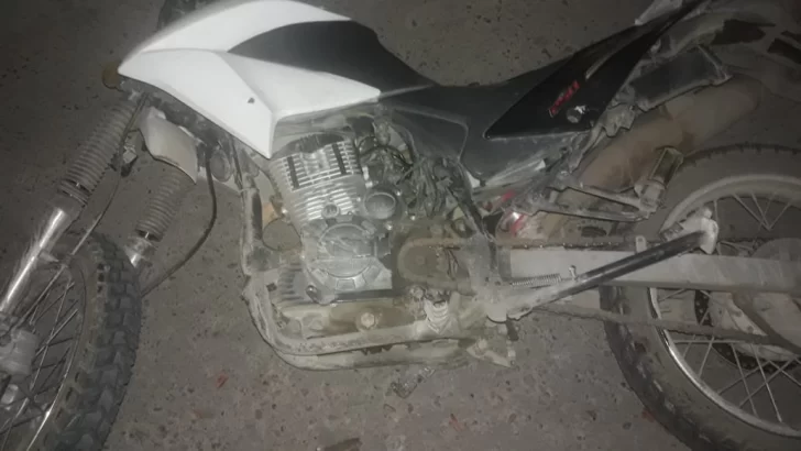 Impactó contra un árbol y no pudo sobrevivir Impactó contra un árbol y no pudo sobrevivir