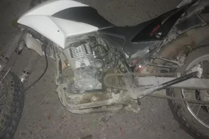 Impactó contra un árbol y no pudo sobrevivir