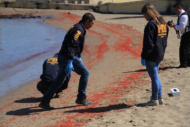 Tía del bebé asesinado: “Mi hermana aún no sabe cómo mataron a su hijo” Tía del bebé asesinado: “Mi hermana aún no sabe cómo mataron a su hijo”