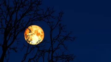 Marzo se despide con “Luna de Gusano”, la primera superluna del año Marzo se despide con “Luna de Gusano”, la primera superluna del año