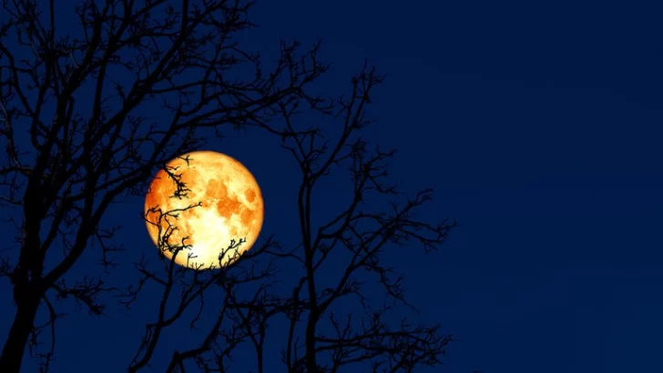 Marzo se despide con “Luna de Gusano”, la primera superluna del año Marzo se despide con “Luna de Gusano”, la primera superluna del año