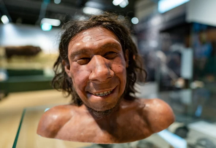 Reconstruyeron la cara de un neandertal que vivió hace más de 50.000 años Reconstruyeron la cara de un neandertal que vivió hace más de 50.000 años