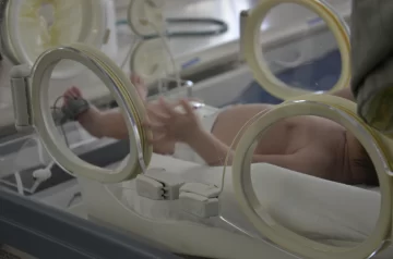 Tienen a su beba internada en neonatología y desaparecieron: los busca el 102 Tienen a su beba internada en neonatología y desaparecieron: los busca el 102