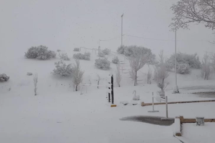 Por una intensa nevada cerraron el Parque Nacional El Leoncito, en Calingasta