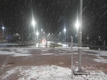 Nieva en gran parte de Mendoza Nieva en gran parte de Mendoza