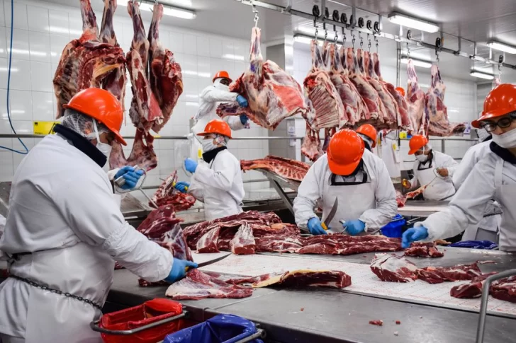 Malestar agropecuario porque el Gobierno extendió las trabas a la exportación de carnes