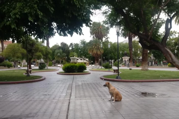 Clima en San Juan: prevén fuerte viento y chaparrones para este domingo 16 de noviembre
