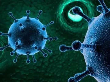 El coronavirus puede ser más peligroso en las personas según su grupo sanguíneo El coronavirus puede ser más peligroso en las personas según su grupo sanguíneo