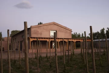 Vinos con perfil frutado y terroso Vinos con perfil frutado y terroso