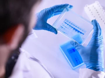 Las subvariantes de Ómicron BQ.1 y BQ.1.1 crecen en EEUU Las subvariantes de Ómicron BQ.1 y BQ.1.1 crecen en EEUU