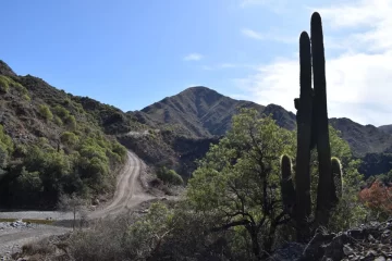 Fin de semana ideal: soleado y temperatura en ascenso Fin de semana ideal: soleado y temperatura en ascenso