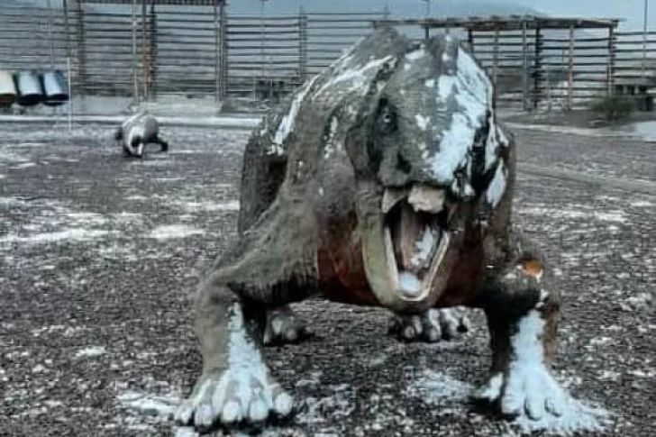 La nieve también alcanzó a darle un nuevo tono al paisaje del Parque de Ischigualasto