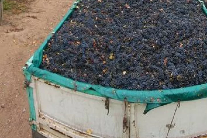 Allanamientos a paseras: investigan evasión por un monto superior a 13 millones de dólares