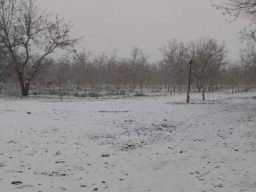 Ola polar: a media mañana comenzó a nevar a 80 km de la Ciudad