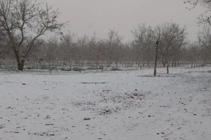 Ola polar: a media mañana comenzó a nevar a 80 km de la Ciudad