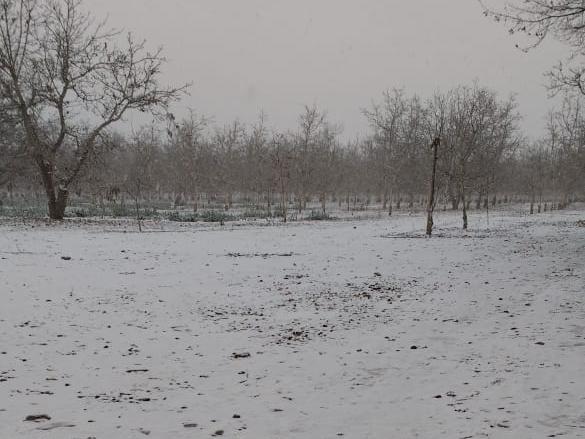 Ola polar: a media mañana comenzó a nevar a 80 km de la Ciudad