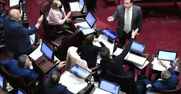 Dos senadores casi se van a las piñas en el Congreso Dos senadores casi se van a las piñas en el Congreso