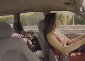 Convivir dentro del auto