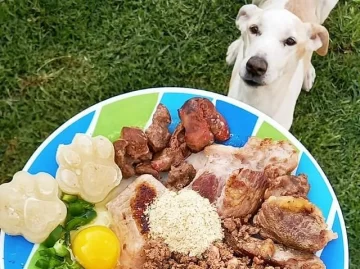 Dos sanjuaninas crean viandas para mascotas y son furor