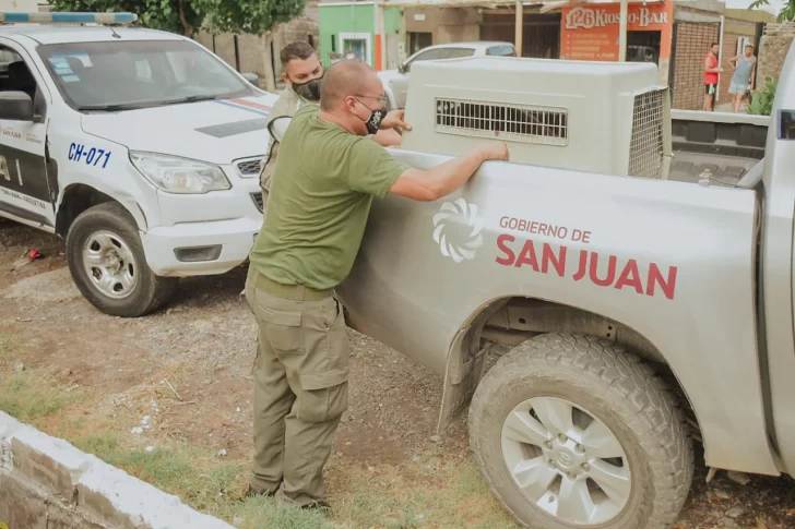 El perro que mordió a un nene en Chimbas fue trasladado a un refugio El perro que mordió a un nene en Chimbas fue trasladado a un refugio