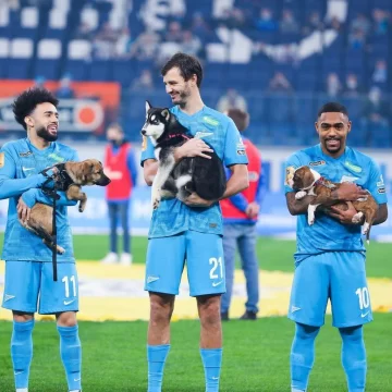 Jugadores salieron a la cancha con cachorritos para fomentar su adopción Jugadores salieron a la cancha con cachorritos para fomentar su adopción