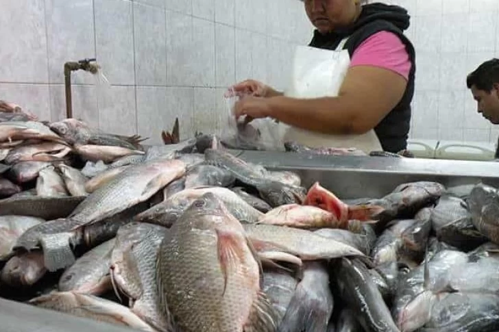 Antes de Semana Santa salen a controlar la venta de pescado: qué se debe tener en cuenta