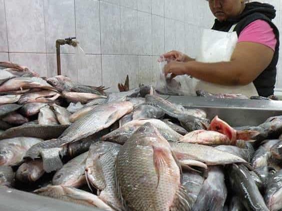 Recomendaciones para el consumo y venta de pescado durante la Semana Santa Recomendaciones para el consumo y venta de pescado durante la Semana Santa