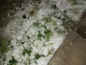 Recorren 4 departamentos por la tormenta de anoche: 25 de Mayo, el más afectado