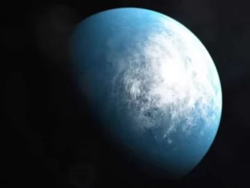 Científicos del Conicet investigan el origen del sexo en la Tierra Científicos del Conicet investigan el origen del sexo en la Tierra