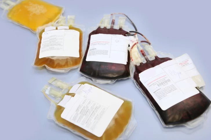 Guía básica para entender la donación de plasma