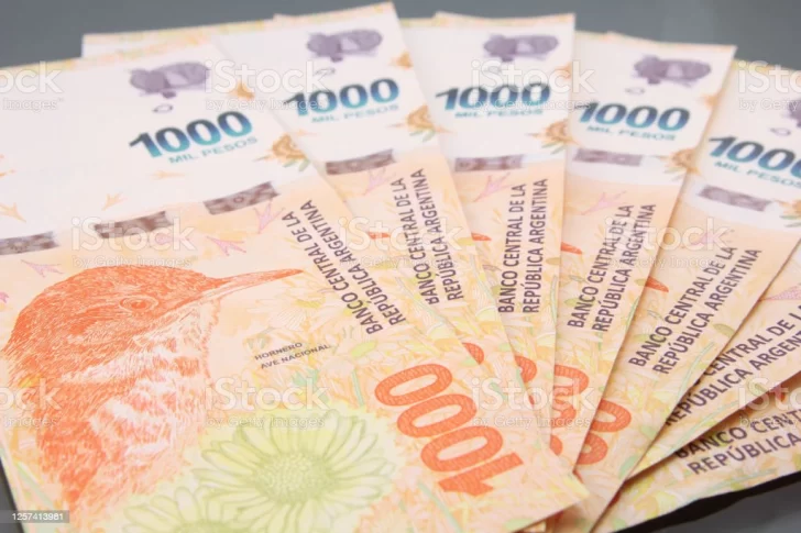 Cómo acceder al bono extra de $10.000 que paga ANSES