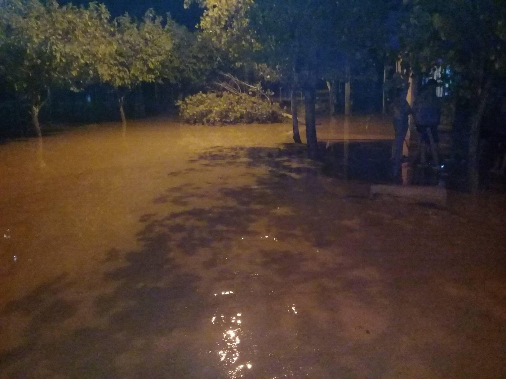 Buscan a un chico de 14 años que se ausentó de su casa en Pocito Buscan a un chico de 14 años que se ausentó de su casa en Pocito