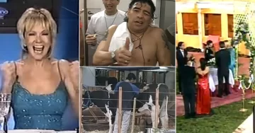 Una vaca adentro, el ingreso de Maradona y un premio de 200 mil dólares: a 20 años del primer GH Una vaca adentro, el ingreso de Maradona y un premio de 200 mil dólares: a 20 años del primer GH