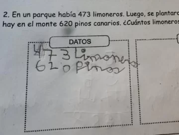 El problema matemático para chicos de primaria que nadie pudo resolver El problema matemático para chicos de primaria que nadie pudo resolver