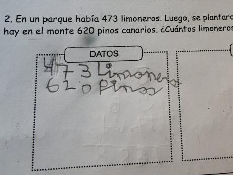 El problema matemático para chicos de primaria que nadie pudo resolver El problema matemático para chicos de primaria que nadie pudo resolver