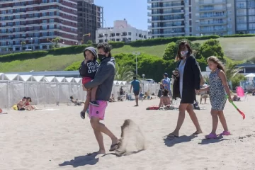 Argentina registró 88.352 contagios de Covid-19 y otros 51 fallecidos Argentina registró 88.352 contagios de Covid-19 y otros 51 fallecidos