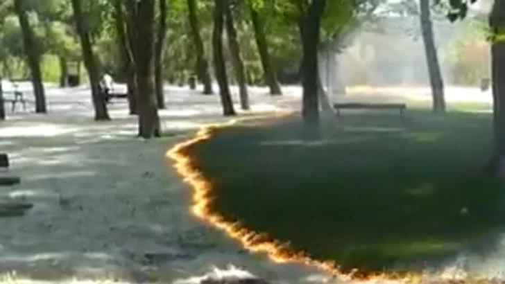 España: un extraño incendio se apoderó de un parque España: un extraño incendio se apoderó de un parque