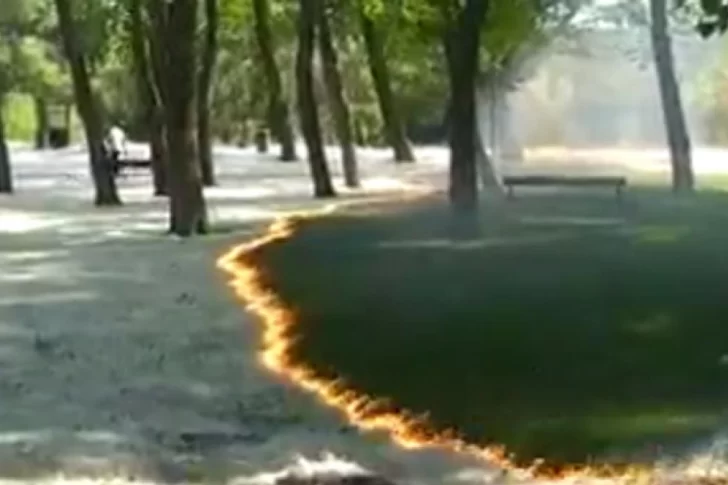 España: un extraño incendio se apoderó de un parque