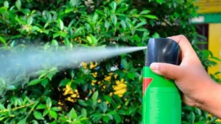 Insecticidas Raid y Fuyí presentaron fallas y la ANMAT exigió su retiro Insecticidas Raid y Fuyí presentaron fallas y la ANMAT exigió su retiro